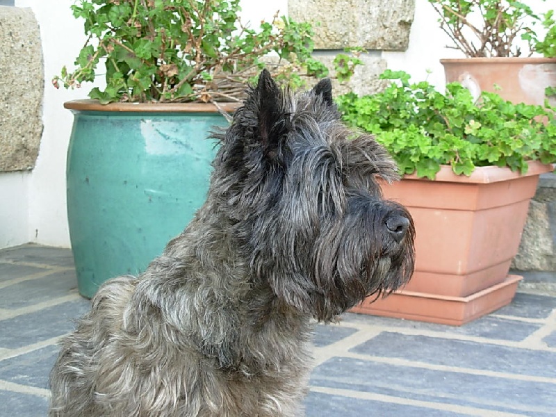 Rustine de la biquetterie